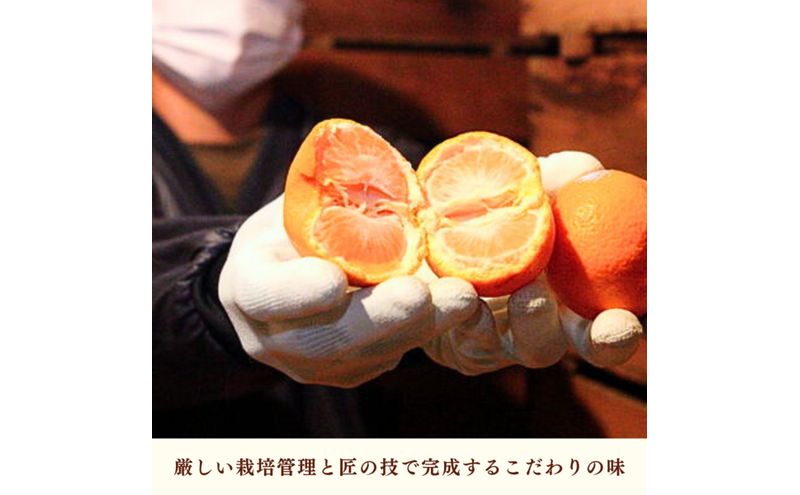 JAみっかび 濃蜜青島みかん M 約4kg 青島 三ヶ日みかん みかん ミカン 蜜柑 ギフト 甘い 糖度 静岡 浜松市