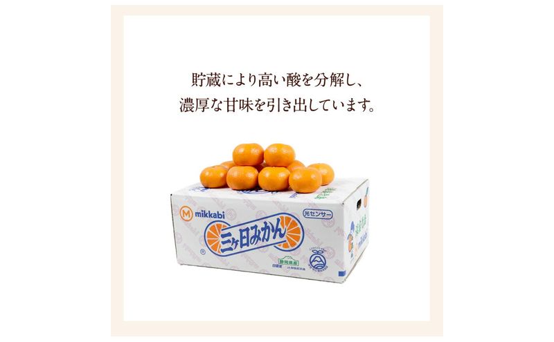 JAみっかび 濃蜜青島みかん M 約4kg 青島 三ヶ日みかん みかん ミカン 蜜柑 ギフト 甘い 糖度 静岡 浜松市