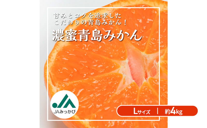 JAみっかび 濃蜜青島みかん L 約4kg 青島 三ヶ日みかん みかん ミカン 蜜柑 ギフト 甘い 糖度 静岡 浜松市