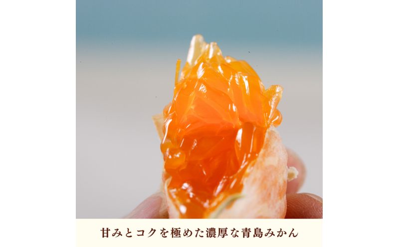 JAみっかび 濃蜜青島みかん L 約4kg 青島 三ヶ日みかん みかん ミカン 蜜柑 ギフト 甘い 糖度 静岡 浜松市
