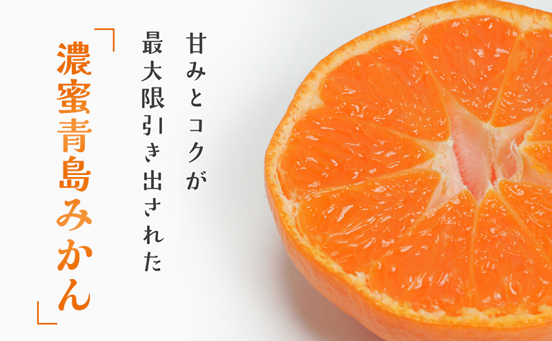 JAみっかび 濃蜜青島みかん L 約4kg 青島 三ヶ日みかん みかん ミカン 蜜柑 ギフト 甘い 糖度 静岡 浜松市