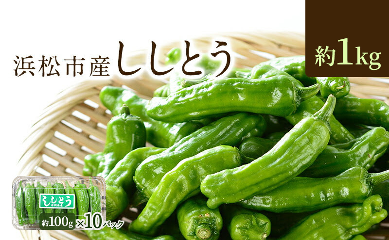 浜松市産 ししとう 約100g×10パック 合計約1kg とうがらし 獅子唐 シシトウ 国産 野菜 静岡 浜松市