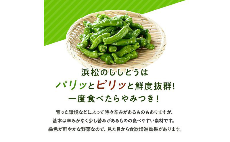 浜松市産 ししとう 約100g×10パック 合計約1kg とうがらし 獅子唐 シシトウ 国産 野菜 静岡 浜松市