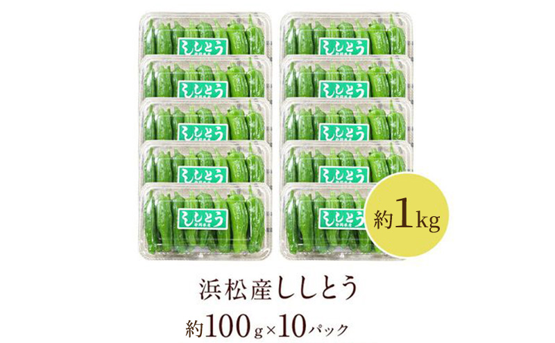 浜松市産 ししとう 約100g×10パック 合計約1kg とうがらし 獅子唐 シシトウ 国産 野菜 静岡 浜松市