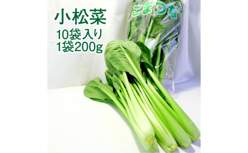 小松菜 10袋入り 1袋200g 約2kg 【配送不可：離島】 こまつな こまつ菜 サラダ 野菜 おひたし 静岡 浜松市