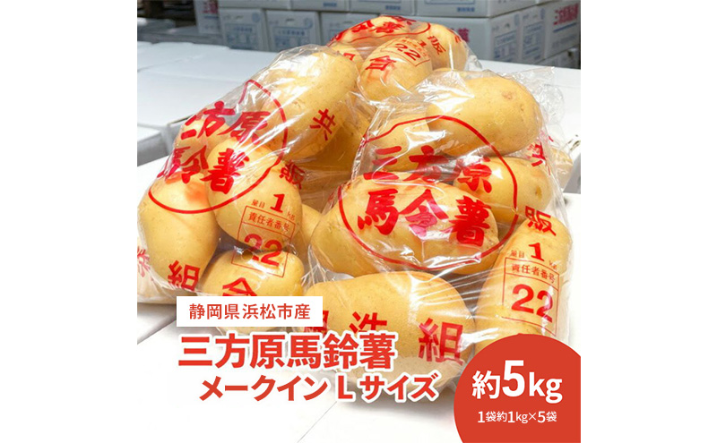 【静岡県浜松市産】三方原馬鈴薯 メークイン Lサイズ 約5kg（1袋約1kg×5袋） じゃがいも 芋 野菜 静岡 浜松市