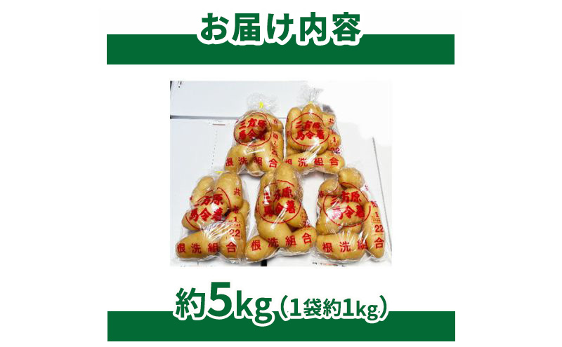 【静岡県浜松市産】三方原馬鈴薯 メークイン Lサイズ 約5kg（1袋約1kg×5袋） じゃがいも 芋 野菜 静岡 浜松市