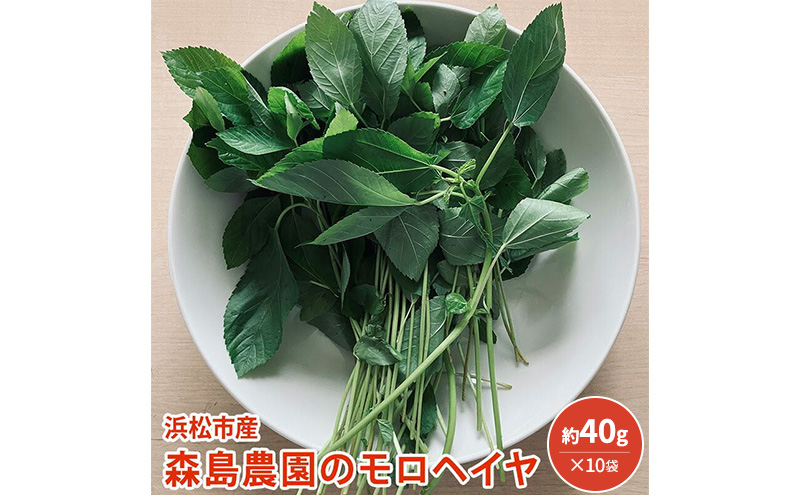 浜松市産 森島農園のモロヘイヤ 約40g×10袋 モロヘイヤ 野菜 葉物野菜 緑黄色野菜 天ぷら おひたし 和食 静岡 浜松市
