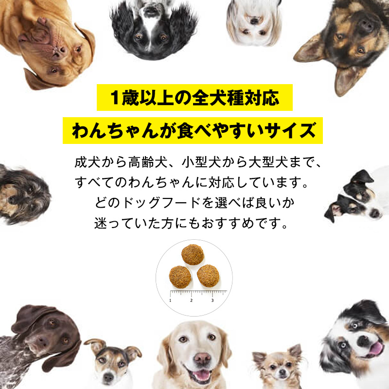 ããã°ããŒã INUMESHI ããªã¥ãŒ 15kg ããªãŒããŒãã㯠æç¬ é«éœ¢ 1æ³ä»¥äž å°åç¬ äžåç¬ å€§åç¬ ãã©ã€ããŒã 倧容é 倧容éãã㯠ç¬çšãã¯ã ç¬çšã飯 ãããããŒã ãããçšå ããã ç¬ ç¬çš é岡 éå²¡ç æµæŸåž