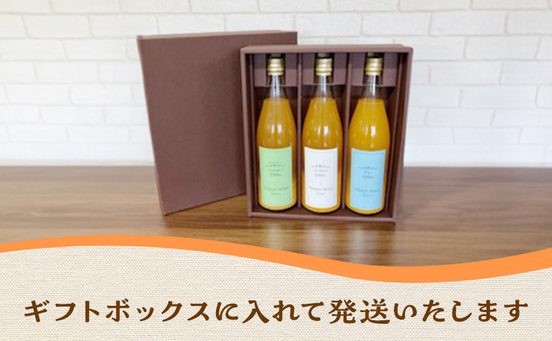 太陽の恵みを濃縮！【和田農園こだわりの三ヶ日みかんジュース大瓶720mlアソート3本ギフト】 ボックス入り 飲料 ストレート ジュース フルーツ みかん　ミカン 三ヶ日みかん 果汁100％ 静岡 浜松市