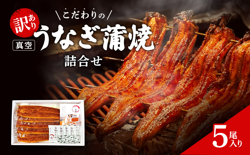 うなぎの五島 訳あり こだわりのうなぎ真空蒲焼詰合わせ（5尾入り）国産うなぎ 惣菜 おかず 蒲焼き 静岡 浜松市【配送不可：離島】