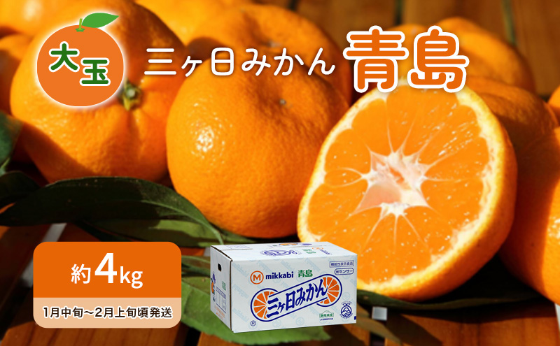 先行予約 青島みかん 大玉 約4kg 三ヶ日みかん 果物 くだもの フルーツ 旬の果物 旬のフルーツ みかん 蜜柑 ミカン 三ヶ日 青島 柑橘 柑橘類 静岡 静岡県 浜松市