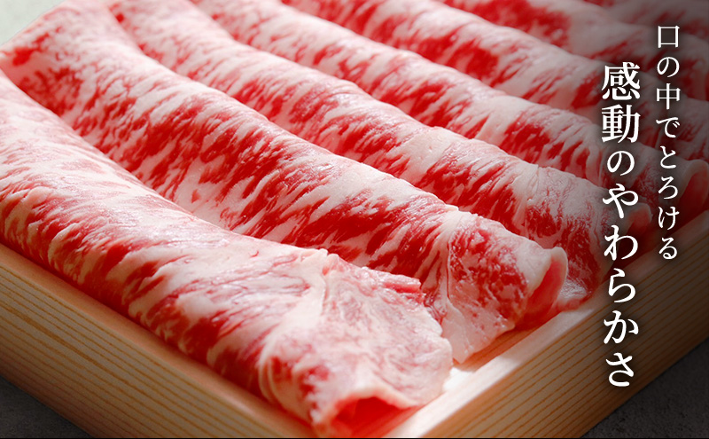 ã¿ã£ãã³çããŒã¹ããçŒãçšïŒçŽ600g/2ã3人çšïŒåœç£ é岡ç çè ããçŒã ããŒã¹ äžã¶æ¥ç çè ãè é岡 æµæŸåž