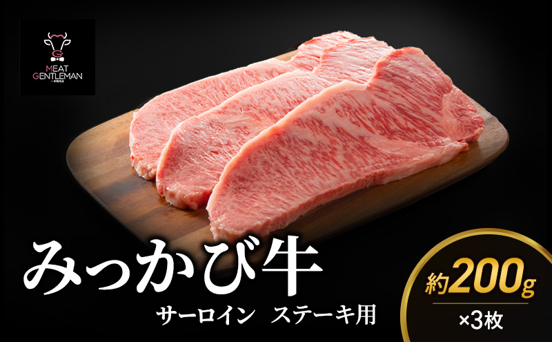 みっかび牛サーロインステーキ用（約200g×3枚）国産 静岡県産 ステーキ サーロイン 三ヶ日牛 牛肉 お肉 静岡 浜松市