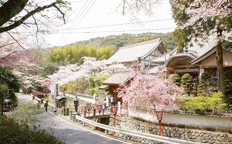 高野山真言宗別格本山龍宮山(子宝・安産）「岩水寺 御朱印帳」天竜桧（木製） 岩水寺 天竜杉 御朱印帳 開運 地蔵尊 桜 子宝 安産 静岡 浜松市