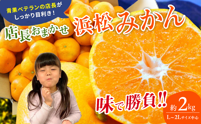 【訳あり】店長おまかせ浜松みかん 約2kg サイズL～2L ミカン 蜜柑 フルーツ  みかん ミカン 三ヶ日 みかん 蜜柑 糖度 静岡 浜松市