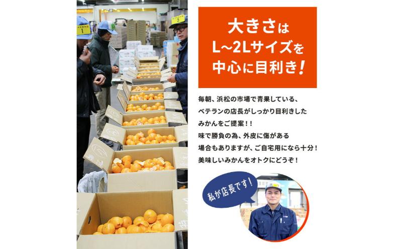 【訳あり】店長おまかせ浜松みかん 約3kg サイズL～2L ミカン 蜜柑 フルーツ  みかん ミカン 三ヶ日 みかん 蜜柑 糖度 静岡 浜松市