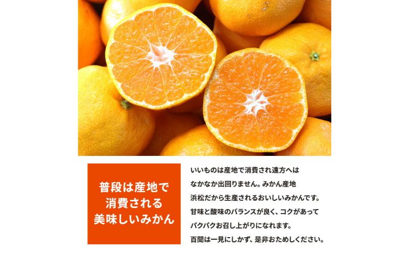 【訳あり】店長おまかせ浜松みかん 約3kg サイズL～2L ミカン 蜜柑 フルーツ  みかん ミカン 三ヶ日 みかん 蜜柑 糖度 静岡 浜松市
