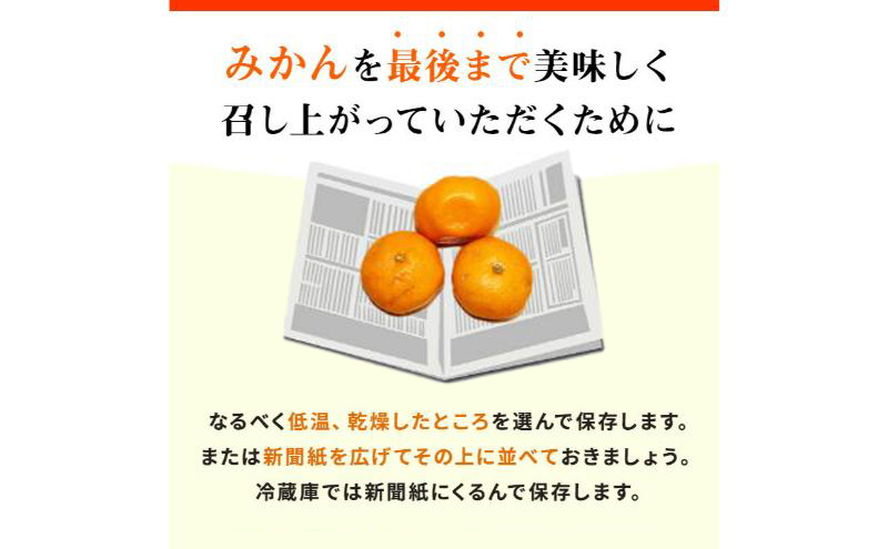 【訳あり】店長おまかせ浜松みかん 約3kg サイズL～2L ミカン 蜜柑 フルーツ  みかん ミカン 三ヶ日 みかん 蜜柑 糖度 静岡 浜松市