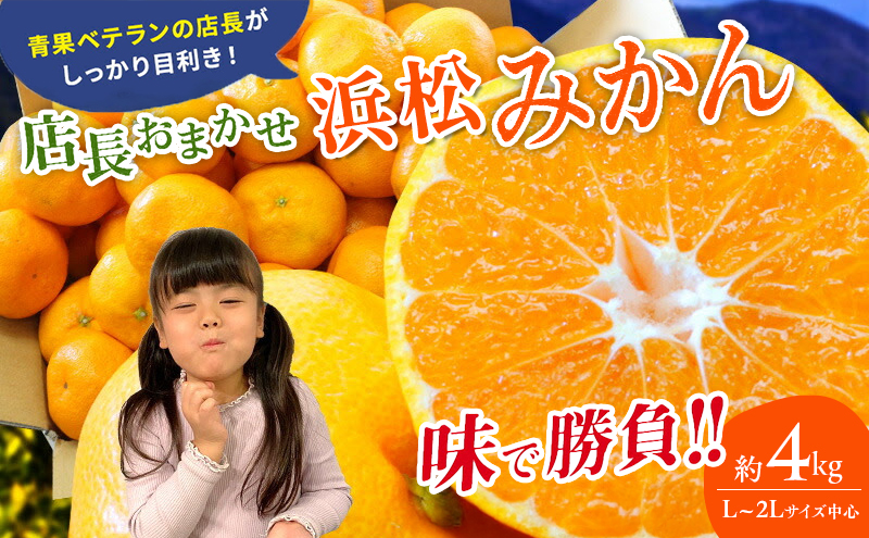 【訳あり】店長おまかせ浜松みかん 約4kg サイズL～2L ミカン 蜜柑 フルーツ  みかん ミカン 三ヶ日 みかん 蜜柑 糖度 静岡 浜松市