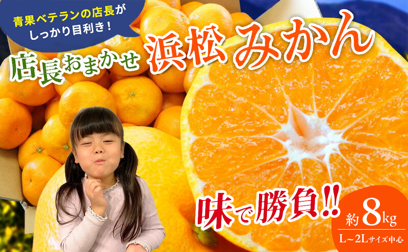 【訳あり】店長おまかせ浜松みかん 約8kg サイズL～2L ミカン 蜜柑 フルーツ  みかん ミカン 三ヶ日 みかん 蜜柑 糖度 静岡 浜松市
