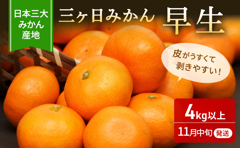 【2025年11月中旬より順次発送】三ヶ日みかん 早生 4kg以上 みかん ミカン 蜜柑 早生みかん 三ヶ日 果物 くだもの フルーツ 旬の果物 旬のフルーツ 柑橘 柑橘類 糖度 静岡 浜松市【配送不可：離島】