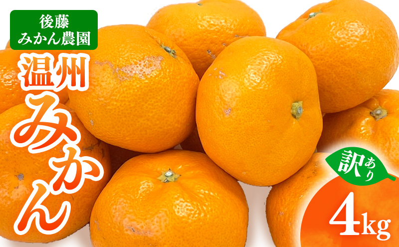 【 訳あり 】 後藤みかん農園 温州みかん 4kg 宮川 片山 果物 くだもの 旬のフルーツ 旬の果物 季節のフルーツ 季節の果物 柑橘 柑橘類 キズ 不揃い ご家庭用 静岡 浜松市