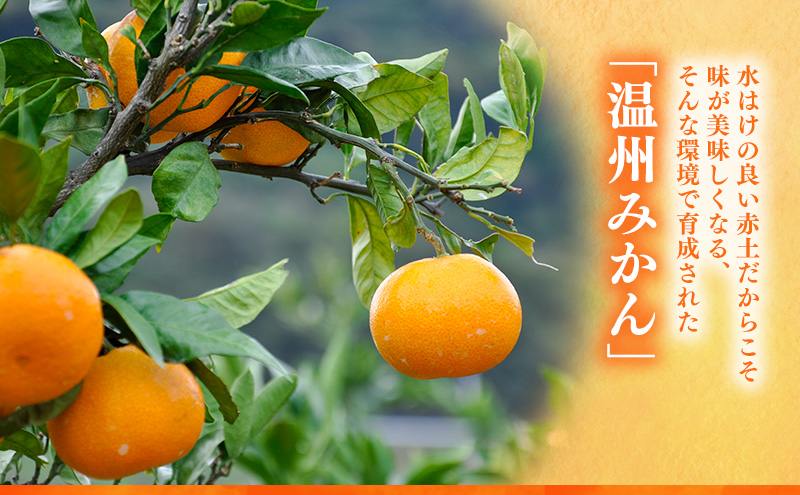 縲 險ウ縺ゅj 縲 蠕瑚陸縺ソ縺九s霎イ蝨 貂ゥ蟾槭∩縺九s 4kg 螳ョ蟾 迚螻ア 譫懃黄 縺上□繧ゅョ 譌ャ縺ョ繝輔Ν繝シ繝 譌ャ縺ョ譫懃黄 蟄」遽縺ョ繝輔Ν繝シ繝 蟄」遽縺ョ譫懃黄 譟第ゥ 譟第ゥ倬。 繧ュ繧コ 荳肴純縺 縺泌ョカ蠎ュ逕ィ 髱吝イ。 豬懈收蟶