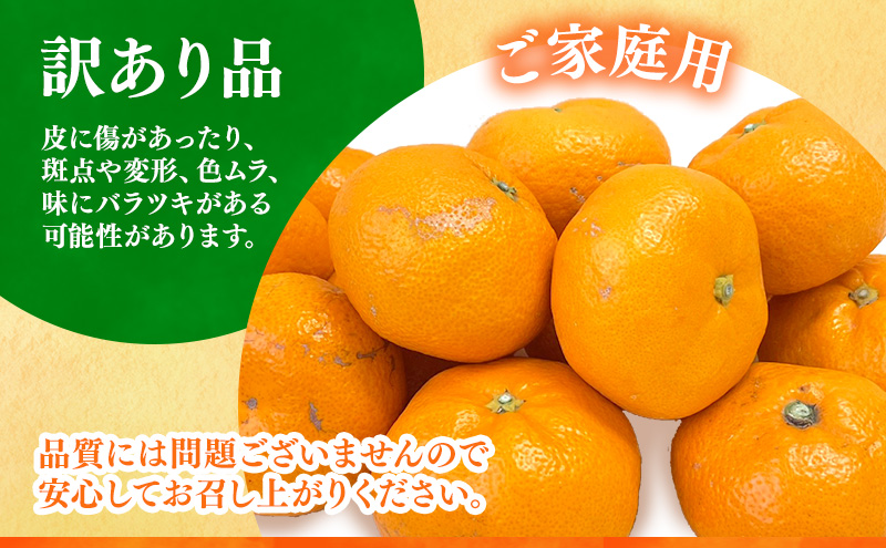 縲 險ウ縺ゅj 縲 蠕瑚陸縺ソ縺九s霎イ蝨 貂ゥ蟾槭∩縺九s 4kg 螳ョ蟾 迚螻ア 譫懃黄 縺上□繧ゅョ 譌ャ縺ョ繝輔Ν繝シ繝 譌ャ縺ョ譫懃黄 蟄」遽縺ョ繝輔Ν繝シ繝 蟄」遽縺ョ譫懃黄 譟第ゥ 譟第ゥ倬。 繧ュ繧コ 荳肴純縺 縺泌ョカ蠎ュ逕ィ 髱吝イ。 豬懈收蟶