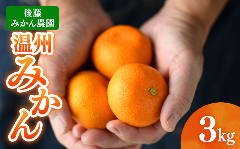 後藤みかん農園 温州みかん 3kg 宮川 片山 果物 くだもの 旬のフルーツ 旬の果物 季節のフルーツ 季節の果物 柑橘 柑橘類 静岡 浜松市