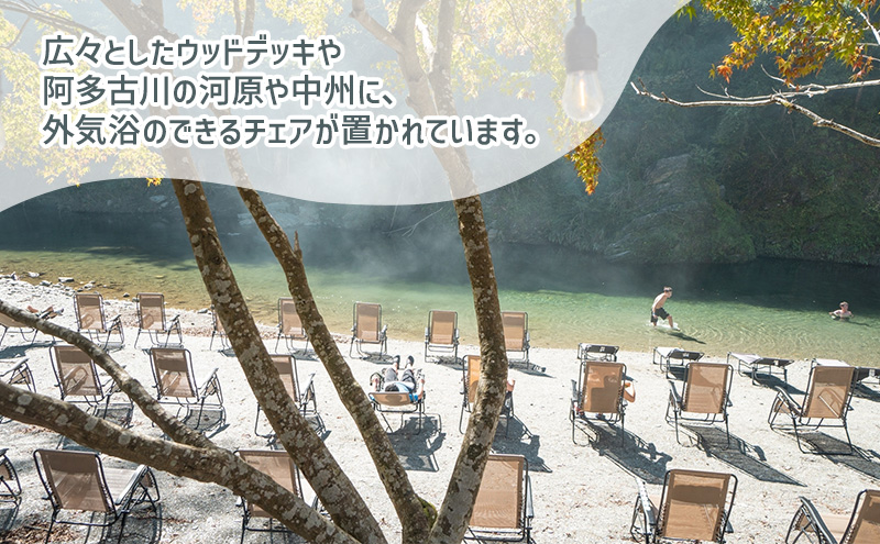 サウナ天竜 利用券 大人1枚 サウナ チケット 静岡県 浜松市