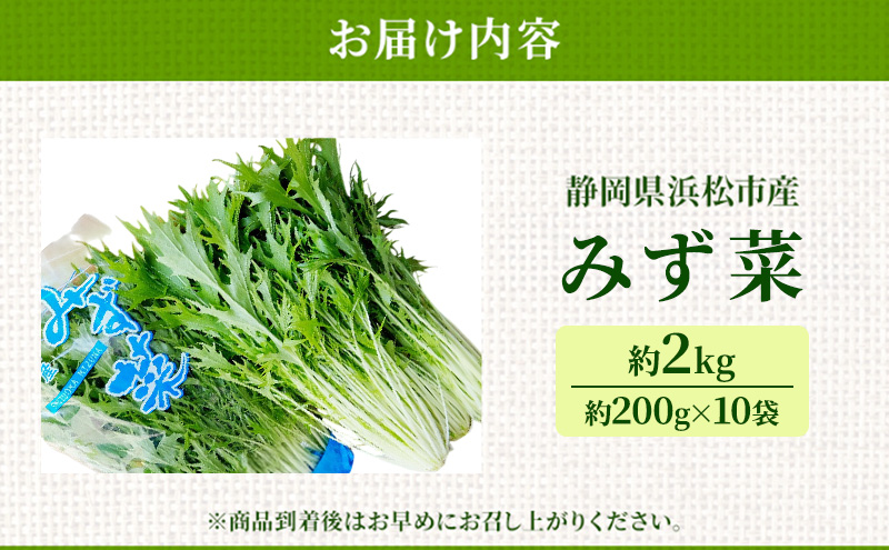 浜松市産 みず菜 約2kg（約200g×10袋）水菜 サラダ 野菜 キョウナ 京菜 ヒイラギナ 柊菜 センスジナ 千筋菜 静岡 浜松市【配送不可：離島】