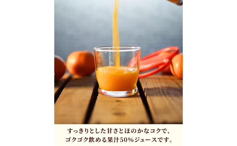 JAみっかび 三ヶ日みかん粒入りドリンク 1本190g×24本 みかん 飲むみかん うんしゅう 温州みかん 果汁50％ 果粒入 つぶつぶ食感 贅沢みかん 静岡 浜松市