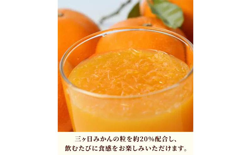 JAみっかび 三ヶ日みかん粒入りドリンク 1本190g×24本 みかん 飲むみかん うんしゅう 温州みかん 果汁50％ 果粒入 つぶつぶ食感 贅沢みかん 静岡 浜松市