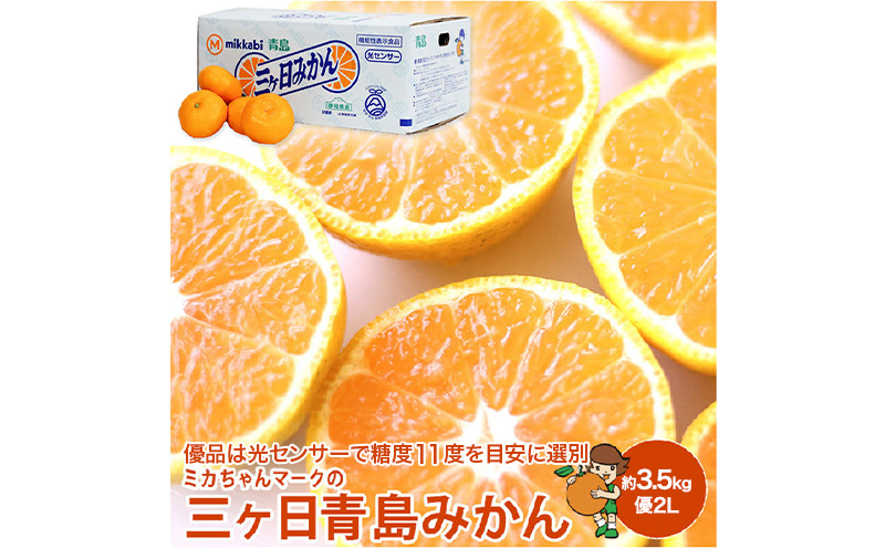 ミカちゃんマークの三ヶ日青島みかん 優2L 約3.5kg（目安：約20個） みかん ミカン 果物 フルーツ 静岡 浜松市