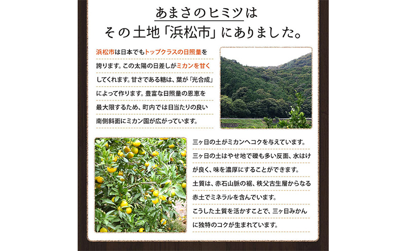 ミカちゃんマークの三ヶ日青島みかん 優2L 約3.5kg（目安：約20個） みかん ミカン 果物 フルーツ 静岡 浜松市