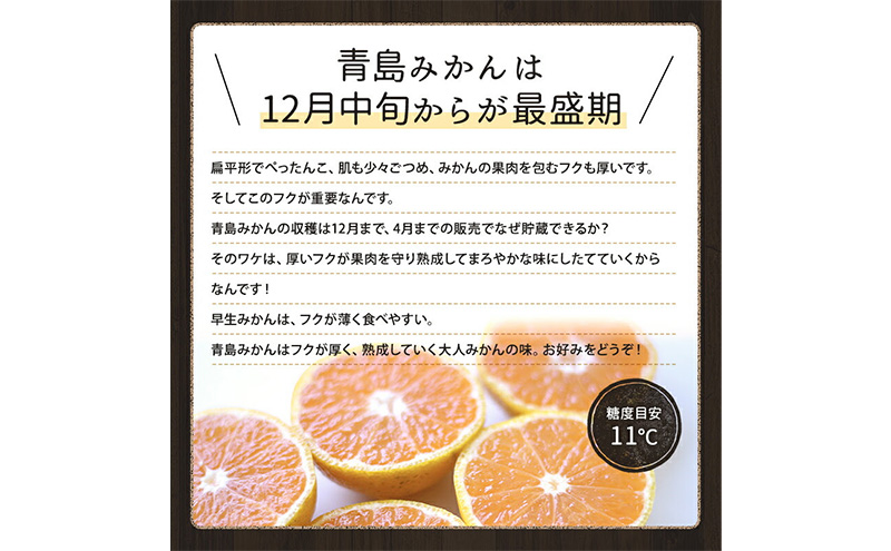 ミカちゃんマークの三ヶ日青島みかん 優2L 約3.5kg（目安：約20個） みかん ミカン 果物 フルーツ 静岡 浜松市