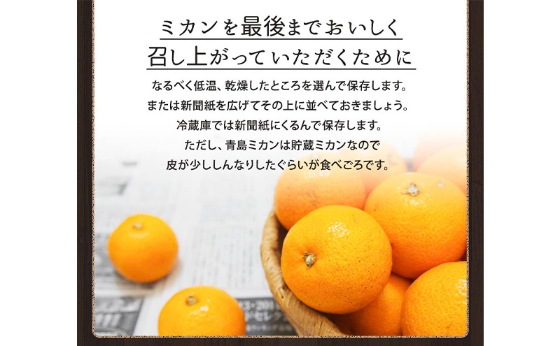 ミカちゃんマークの三ヶ日青島みかん 優2L 約3.5kg（目安：約20個） みかん ミカン 果物 フルーツ 静岡 浜松市