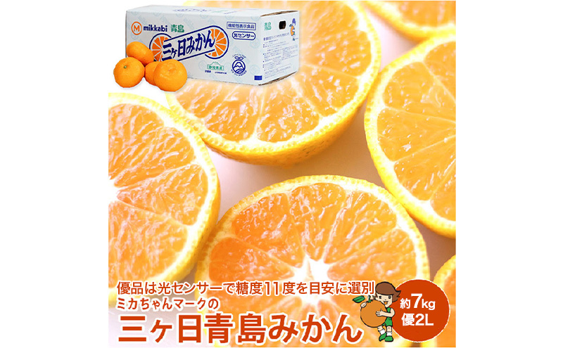 ミカちゃんマークの三ヶ日青島みかん 優2L 約7kg（目安：約40個） みかん ミカン 果物 フルーツ 静岡 浜松市