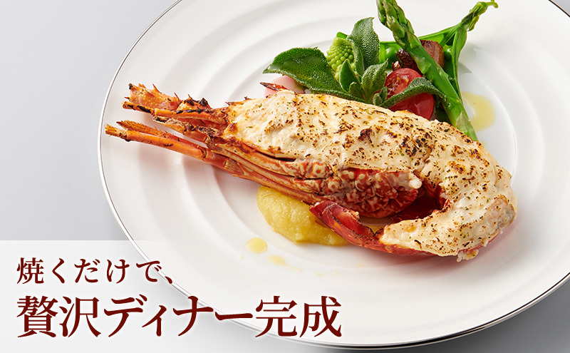 大きいイセエビ テルミドール 2食セット えび 伊勢海老 伊勢エビ 惣菜 加工品 冷凍 簡単調理 パーティー お祝い 静岡 浜松市【配送不可：北海道・沖縄・離島】