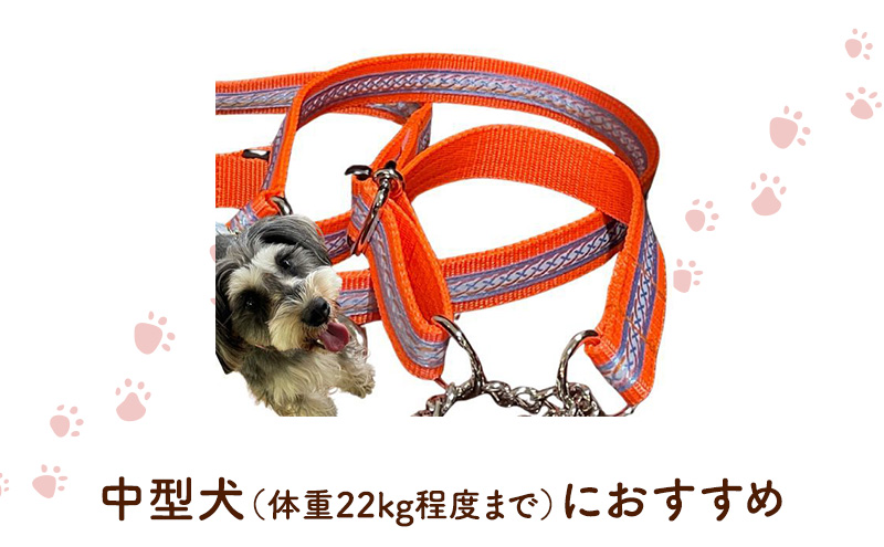 【中型犬用・Mサイズ】 ハーフチョークカラーとリードのセット（シルバーライン&蛍光オレンジ） ペット用品 首輪 リード 中型犬 日本製 ペット 犬 ワンちゃん 静岡 浜松市