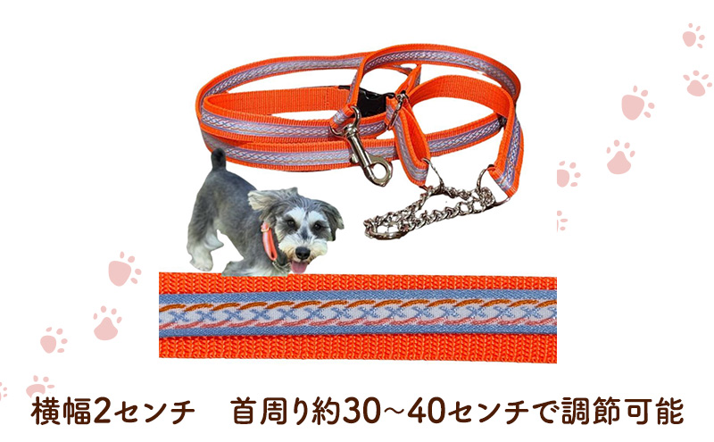 【中型犬用・Mサイズ】 ハーフチョークカラーとリードのセット（シルバーライン&蛍光オレンジ） ペット用品 首輪 リード 中型犬 日本製 ペット 犬 ワンちゃん 静岡 浜松市