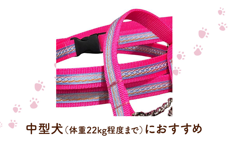 【中型犬用・Mサイズ】 ハーフチョークカラーとリードのセット（シルバー＆ピンク） ペット用品 首輪 リード 中型犬 日本製 ペット 犬 ワンちゃん 静岡 浜松市