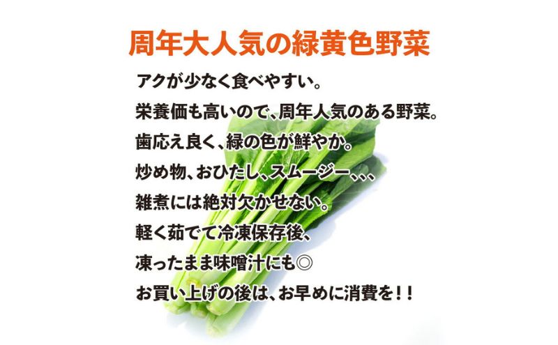 å°æŸè 10è¢å
¥ã 1è¢200g çŽ2kg ãé
éäžå¯ïŒé¢å³¶ã ããŸã€ãª ããŸã€è ãµã©ã éè ãã²ãã é岡 æµæŸåž