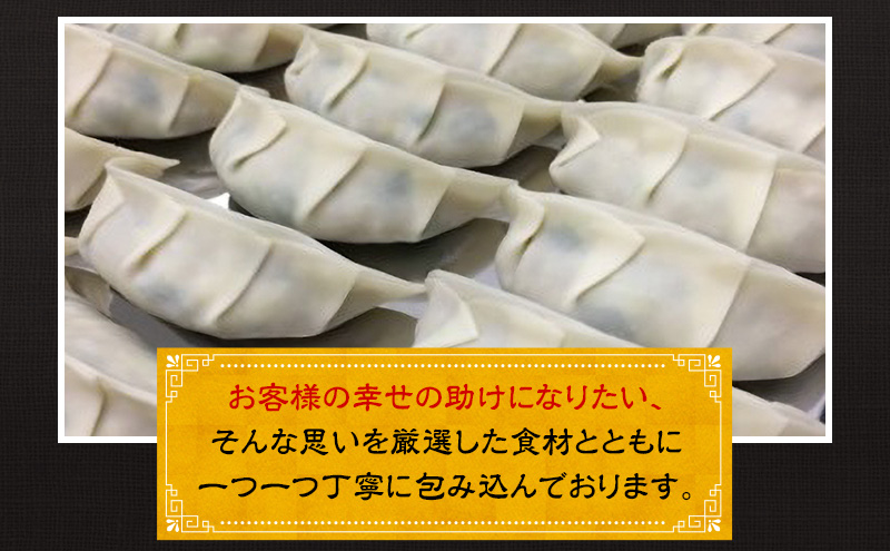幸之助餃子60個入り タレ付き 餃子 ギョウザ ぎょうざ 冷凍餃子 浜松餃子 野菜たっぷり 薄皮 手包み 静岡 浜松市