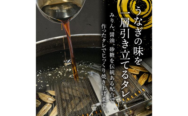 浜名湖産 うなぎ蒲焼 約140g×2尾入り うなぎ ウナギ 鰻 ブランドうなぎ 蒲焼 浜名湖 とろける ふっくら 香ばしい 旨味 肉厚 自家製たれ 二度焼き 静岡 浜松市