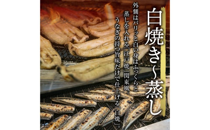 浜名湖産 うなぎ蒲焼 約140g×3尾入り うなぎ ウナギ 鰻 ブランドうなぎ 蒲焼 浜名湖 とろける ふっくら 香ばしい 旨味 肉厚 自家製たれ 二度焼き 静岡 浜松市