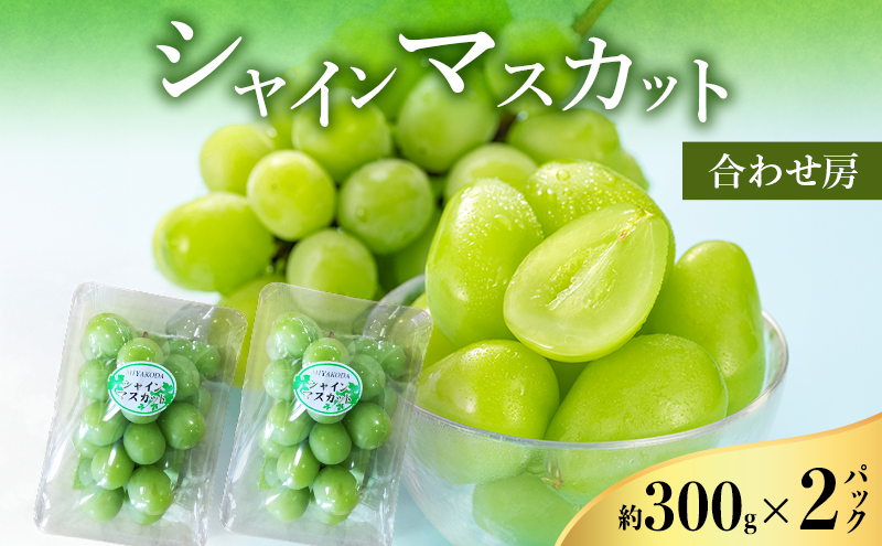 【2026年8月より順次発送】 シャインマスカット 約300g×2パック（計約600g） 合わせ房 若手農家応援 ぶどう ブドウ マスカット 果物 くだもの 旬のフルーツ 旬の果物 季節のフルーツ 季節の果物 静岡 浜松市