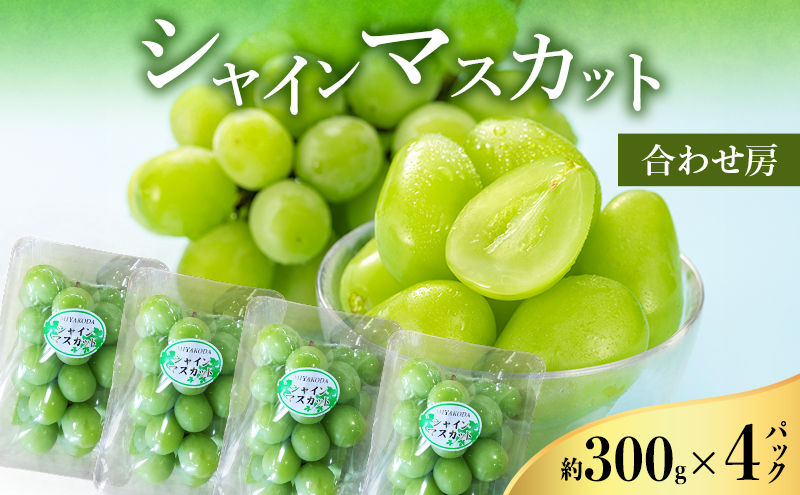 【2026年8月より順次発送】 シャインマスカット 約300g×4パック（計約1200g） 合わせ房 若手農家応援 ぶどう ブドウ マスカット 果物 くだもの 旬のフルーツ 旬の果物 季節のフルーツ 季節の果物 静岡 浜松市