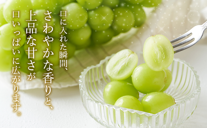 【2026年8月より順次発送】 シャインマスカット 約300g×4パック（計約1200g） 合わせ房 若手農家応援 ぶどう ブドウ マスカット 果物 くだもの 旬のフルーツ 旬の果物 季節のフルーツ 季節の果物 静岡 浜松市